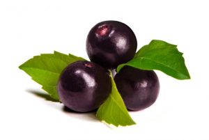 acai berry superfood