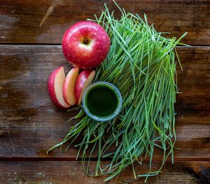 How wheatgrass is a superfood