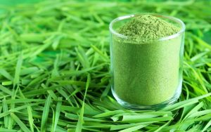Potential benefits of wheatgrass