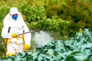 Pesticides and Chemicals: A Health Concern?
