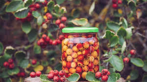 How Hawthorn Berries Support Heart Health