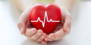 how superfood supports heart health
