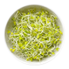 core-broccoli-sprout-powder
